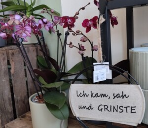 Eine Orchidee mit einem verspieltem Dekoschild